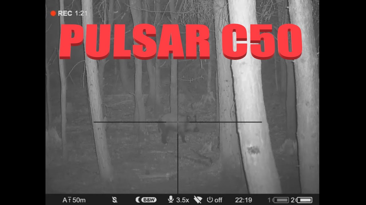 HUNTING with PULSAR C50 - lov divočáka