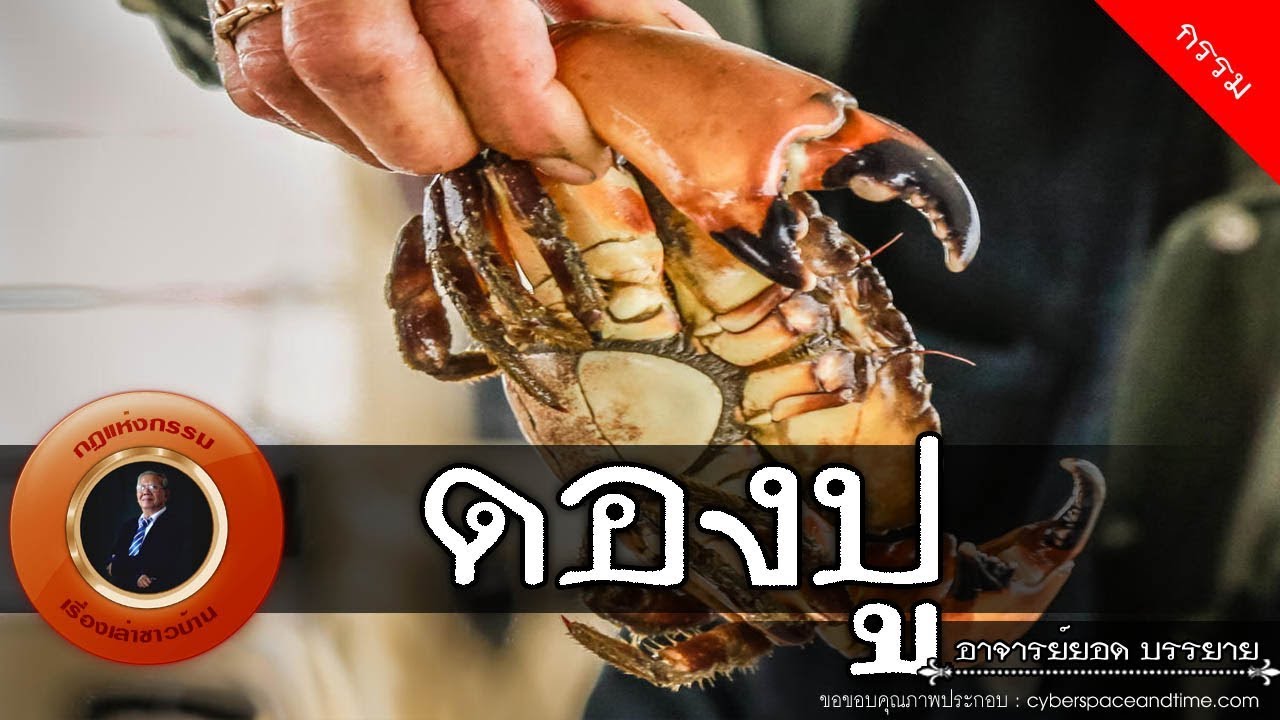 อาจารย์ยอด : ดองปู [กรรม] new