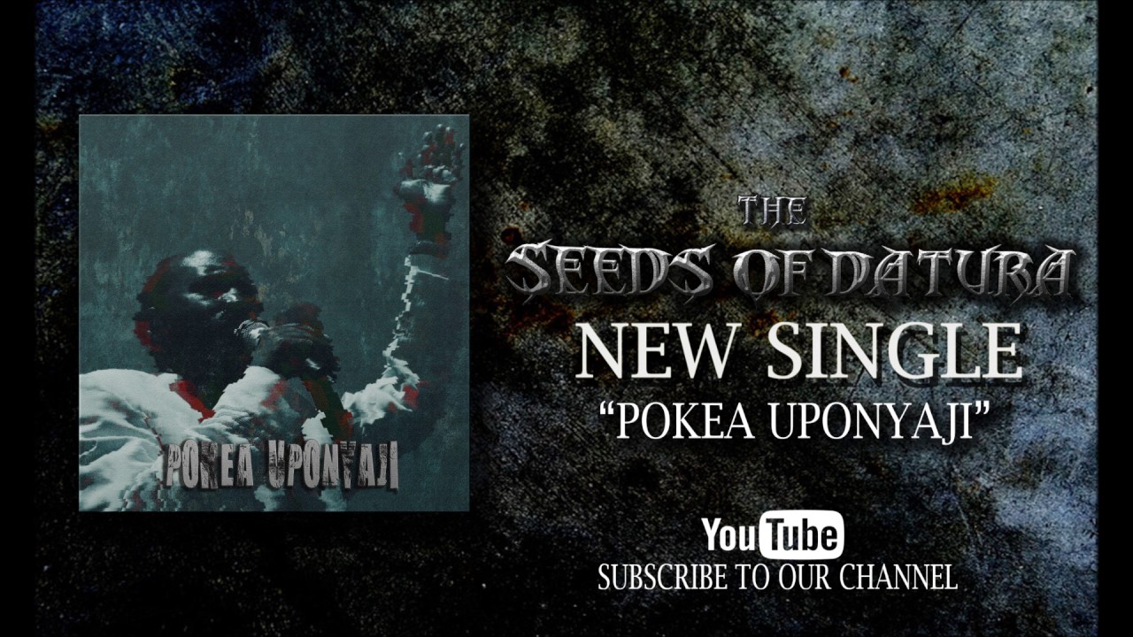The Seeds of Datura   Pokea Uponyaji