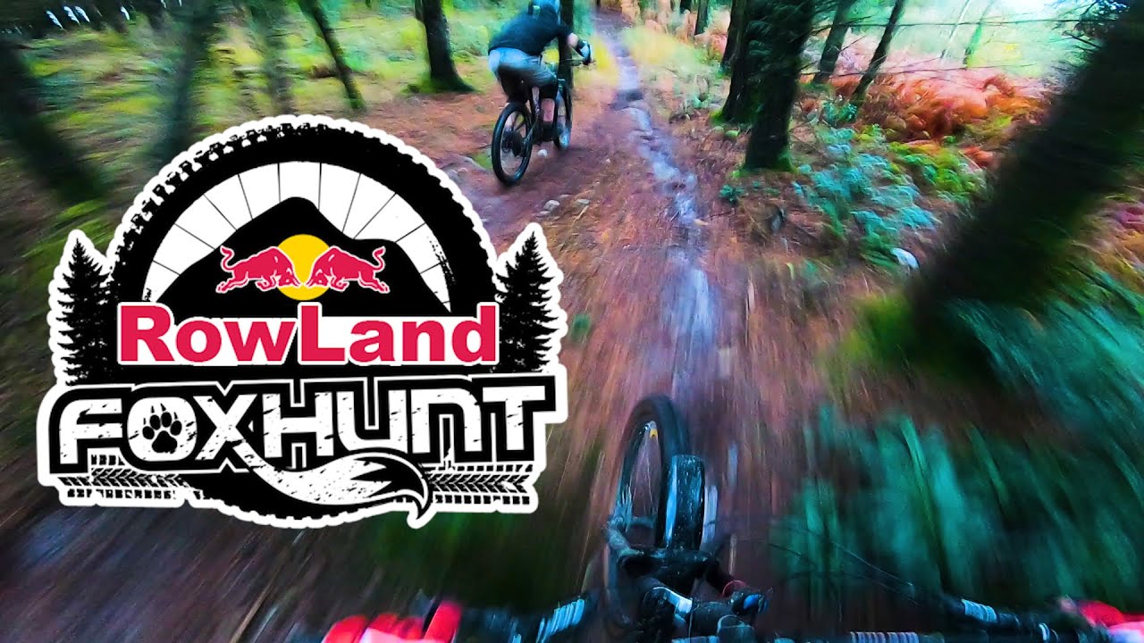 Chasing Ollie & Clint down the trails at Grogley Woods