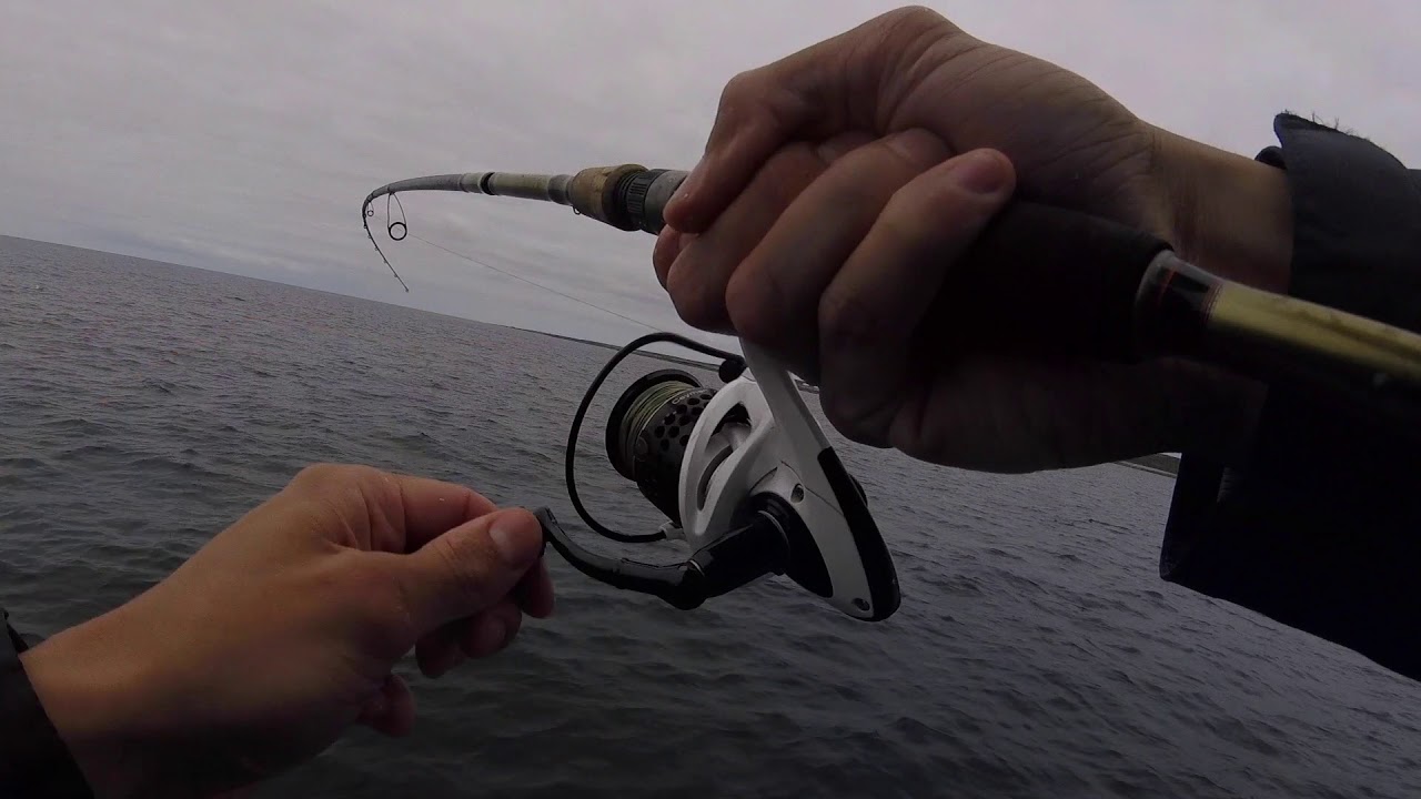 Sea fishing Galway