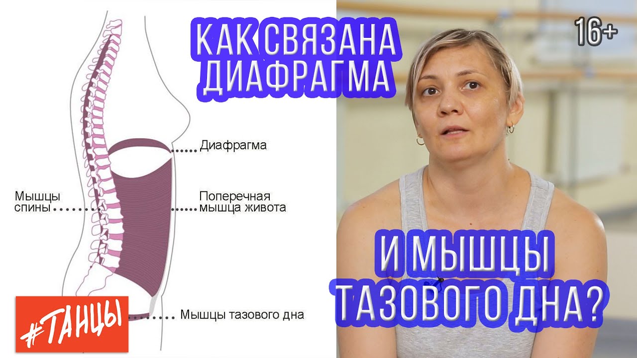 Как связана диафрагма и мышцы тазового дна. Разбираемся с Ксенией Корнейчук