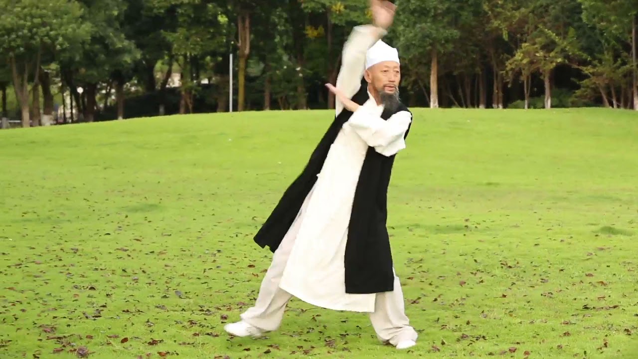 HuaLong Kungfu Tutorial _ Ma Aiqun