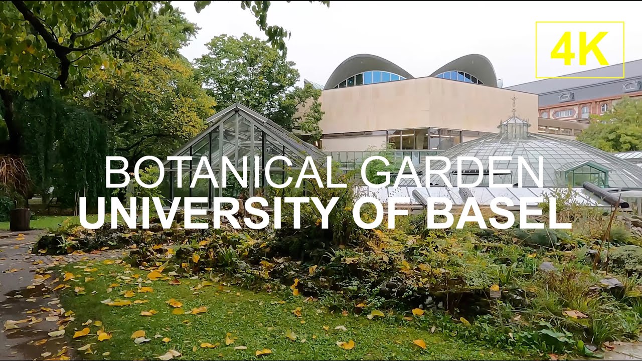 BASEL, SWITZERLAND | University of Basel Botanical Garden l 4K Walk