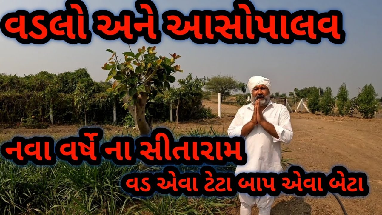 નવા વર્ષ ના રામ રામ| વડલો અને આસોપાલવ| ડ્રેગન ફ્રૂટ આવી ગયા 