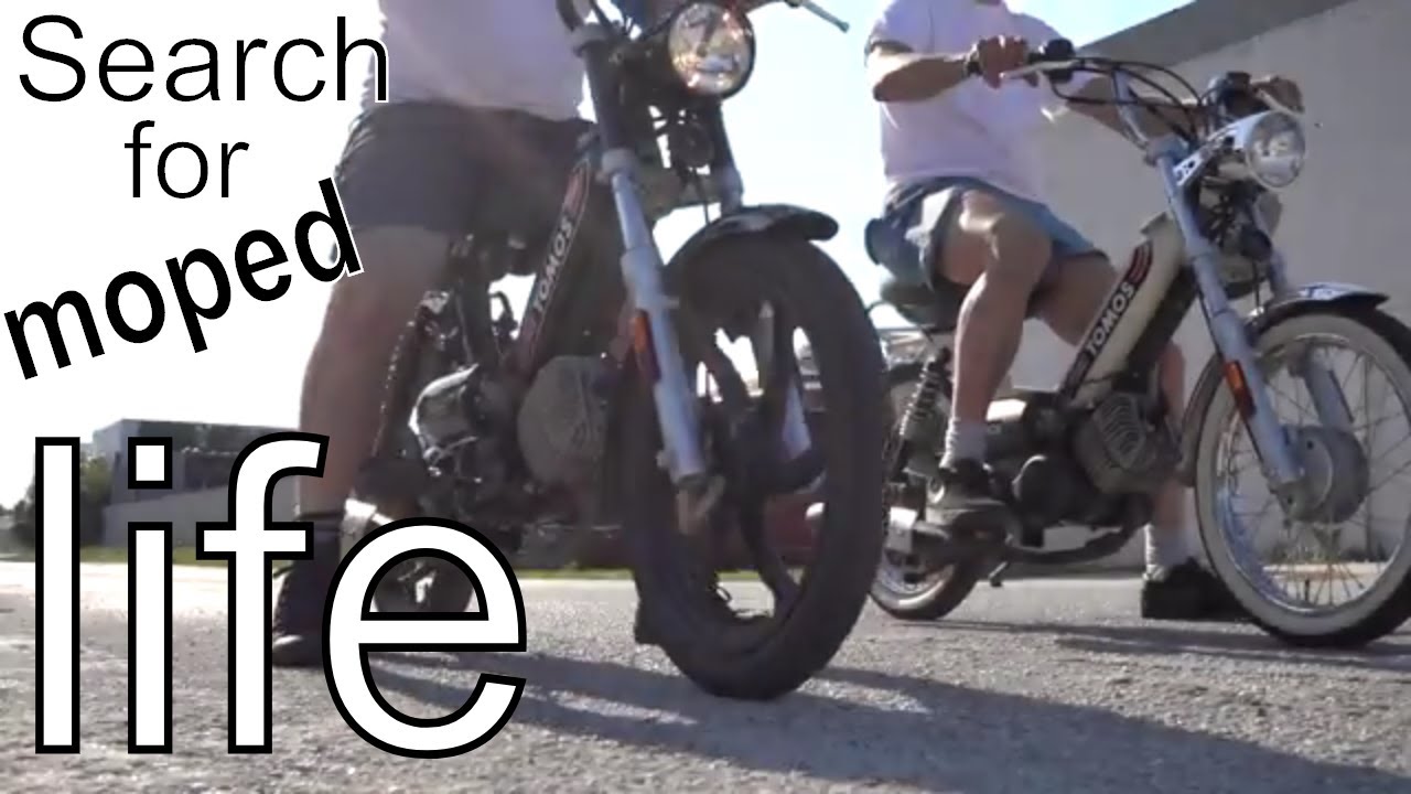 Search for MOPED life - part 1