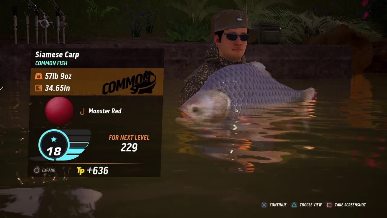 The Catch Carp & Coarse fishing game multiplayer boss hunt dovetail live rigs chat multiplayer