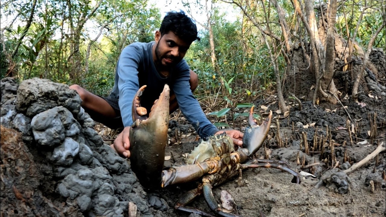 বড় কাঁকড়া পেয়েছি || 🤔🤔🤔 দাম কত হবে ? || Andaman Hunters