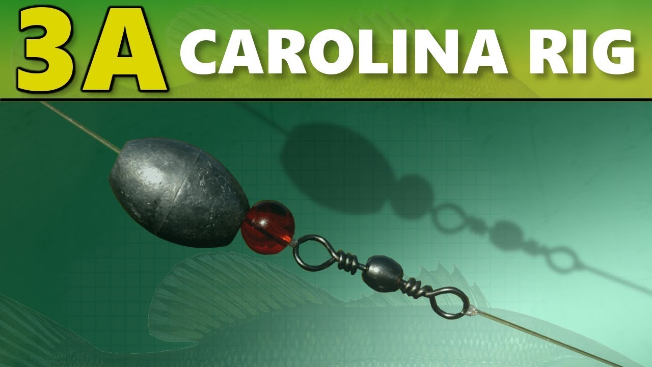 РУКОВОДСТВО ПО ЛОВЛЕ ОКУНЯ (СРЕДНИЙ УРОВЕНЬ): 3A — Carolina Rig