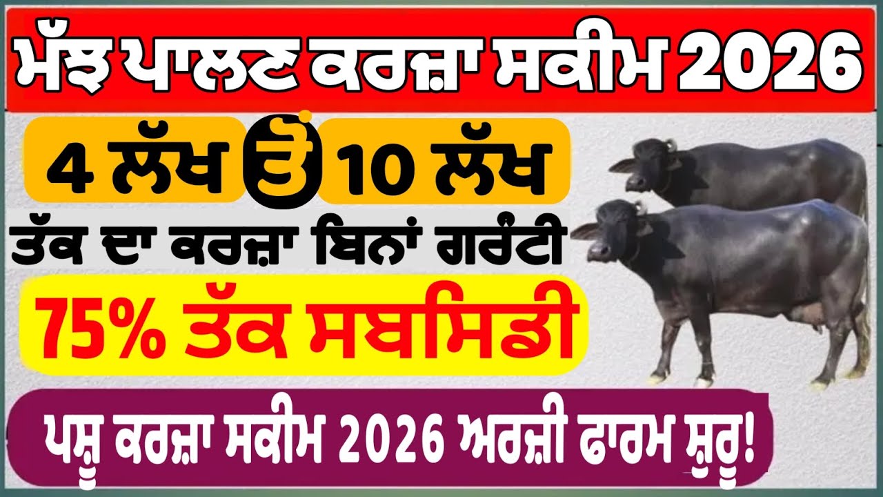 ਪਸ਼ੂਪਾਲਣ ਕਰਜ਼ਾ ਸਕੀਮ। loan for milk diary। #loan #loans #businessloans #karza #kisan 