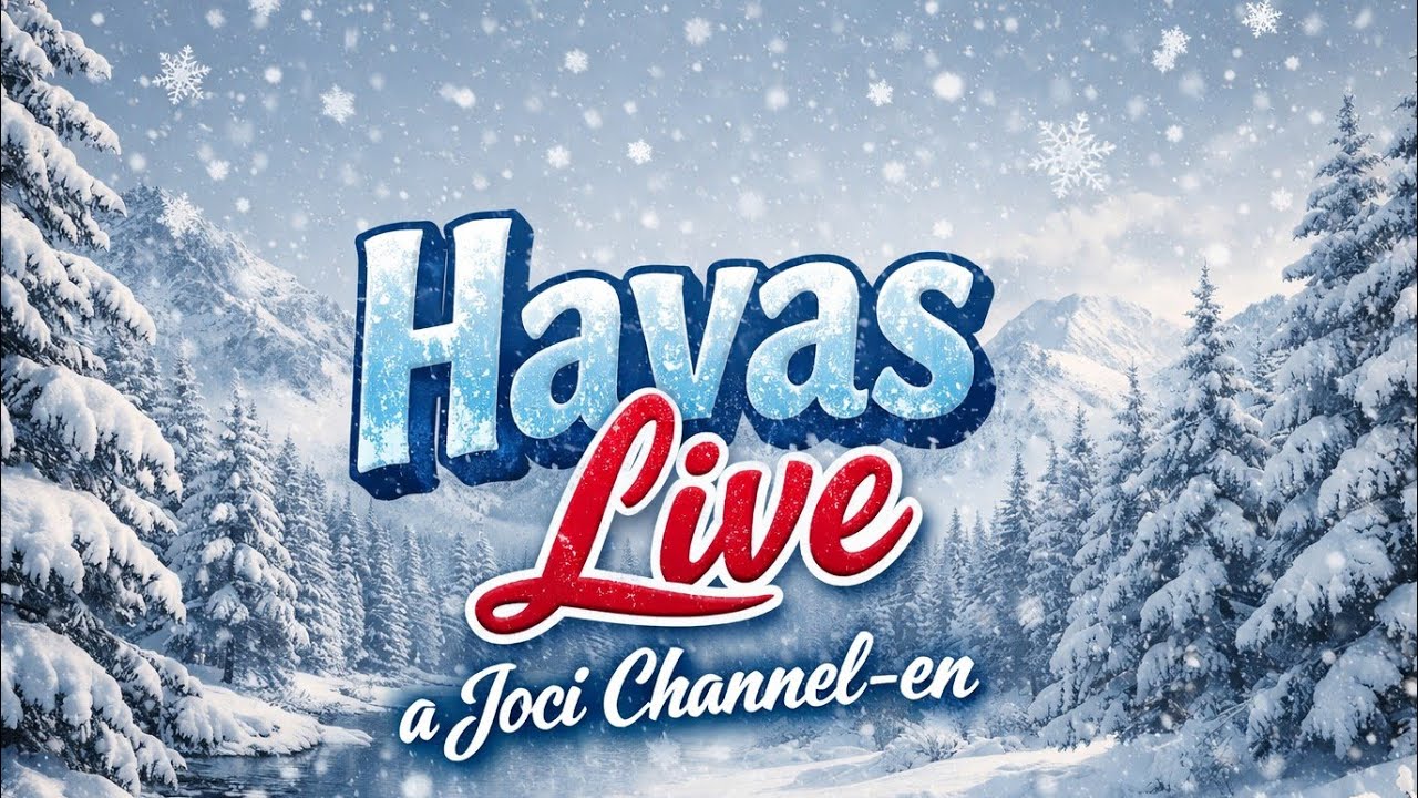 Havas Live A Nagyerdő-ről 🥶 #youtube #shorts #debrecen #live