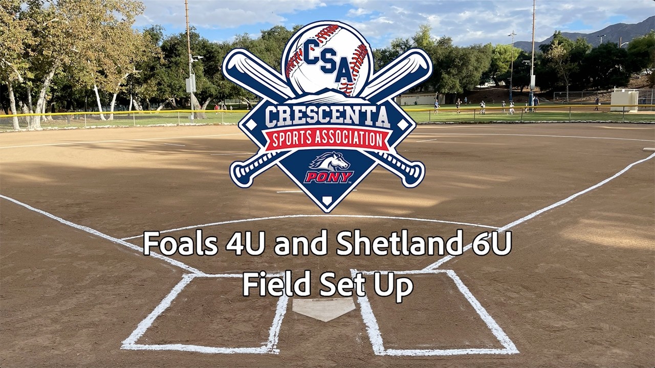 Field Set Up Demo for Foals 4U and Shetland 6U