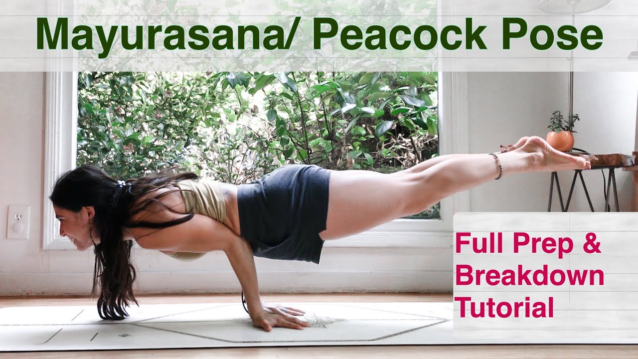 Mayurasana / Peacock Pose Full Tutorial 🦚