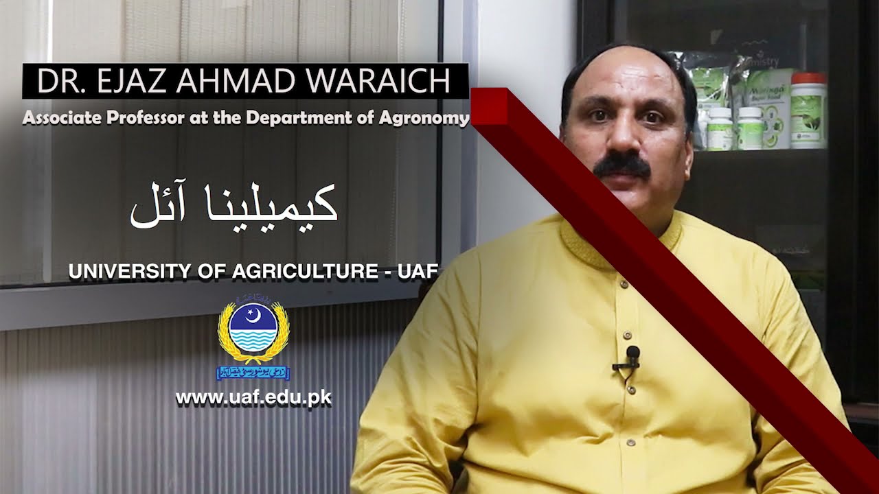 Camelina: A best oilseed crop for human Health