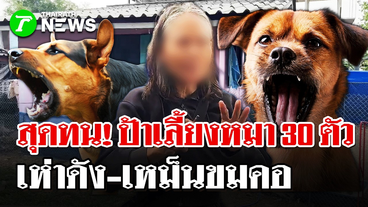 วีรกรรมป้าเลี้ยงหมา! จากคอนโดสู่เกาะเกร็ด 30 ตัวยังอึเหม็น-ชาวบ้านเดือด | 9 มี.ค69  |ไทยรัฐนิวส์โชว์