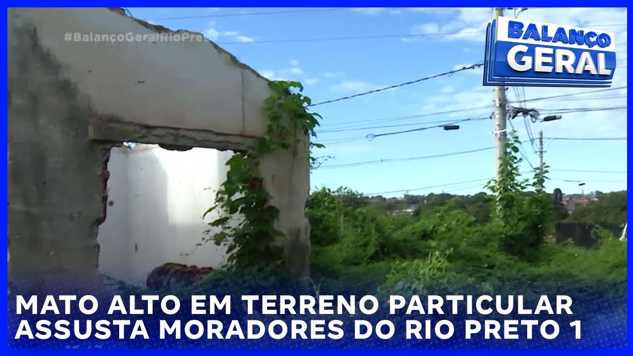 Abandono: Mato alto em terreno particular assusta moradores do Rio Preto 1