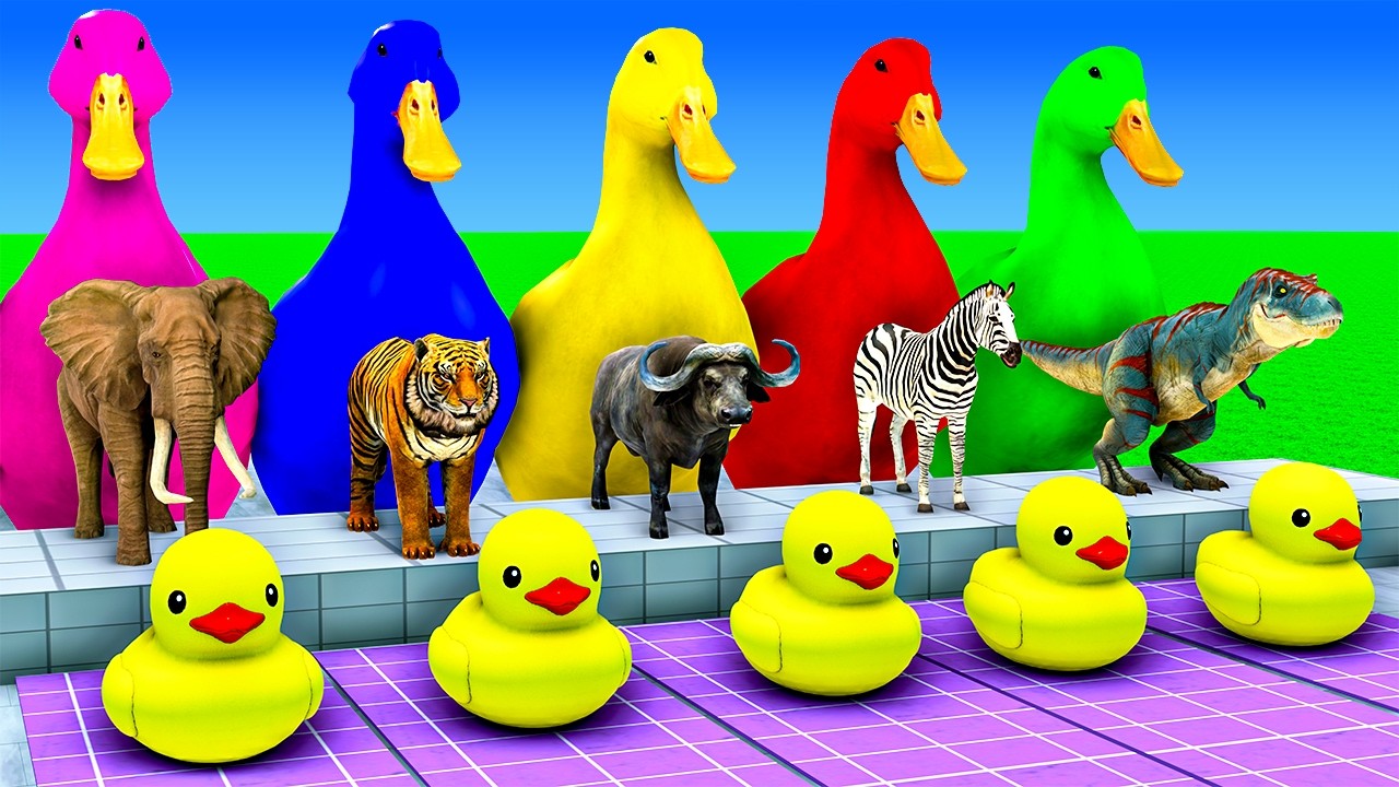Giant Slide Race Buffalo T-rex Tiger Elephant Zebra 3d Animal Game Funny 3d Animals