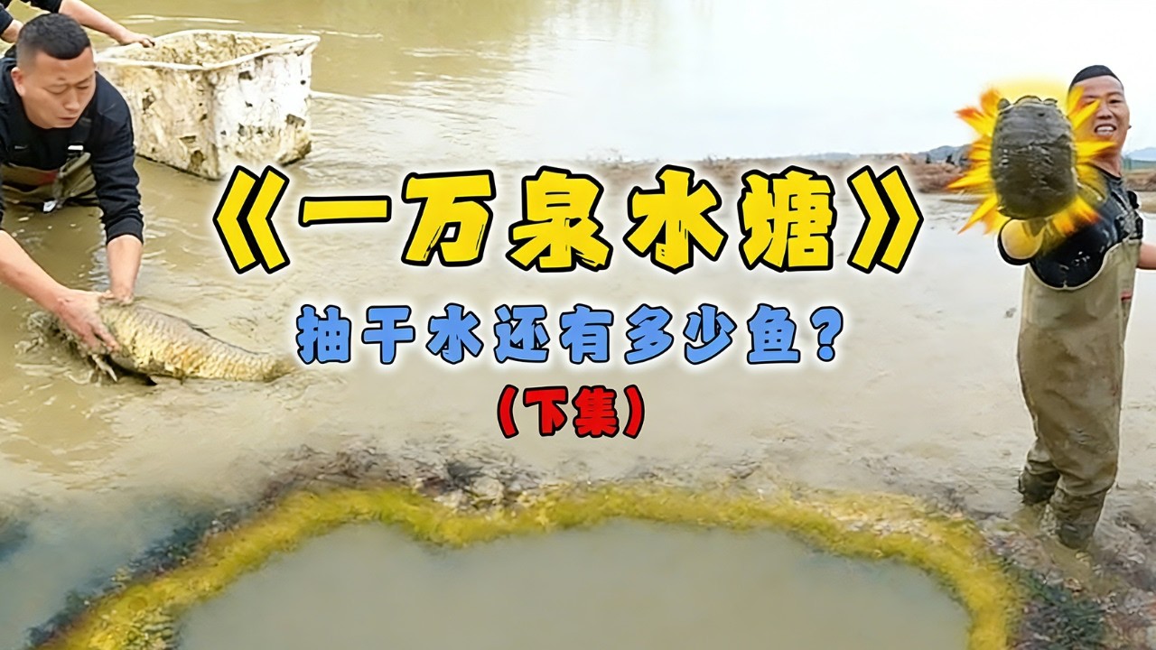 花一萬包下三年沒乾的泉水魚塘，看看乾底還有多少貨...#戶外 #魚塘 #抓魚 #甲魚 #fishing