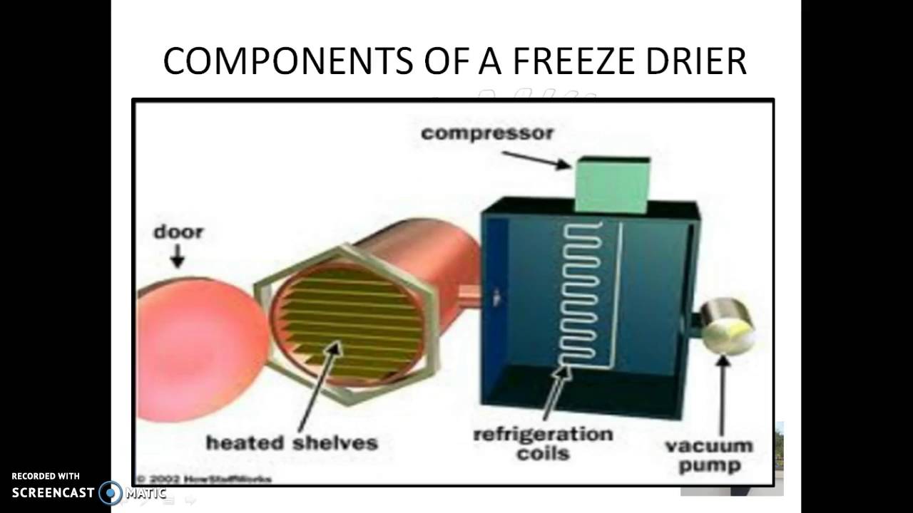 FREEZE DRYING PRESENTATION