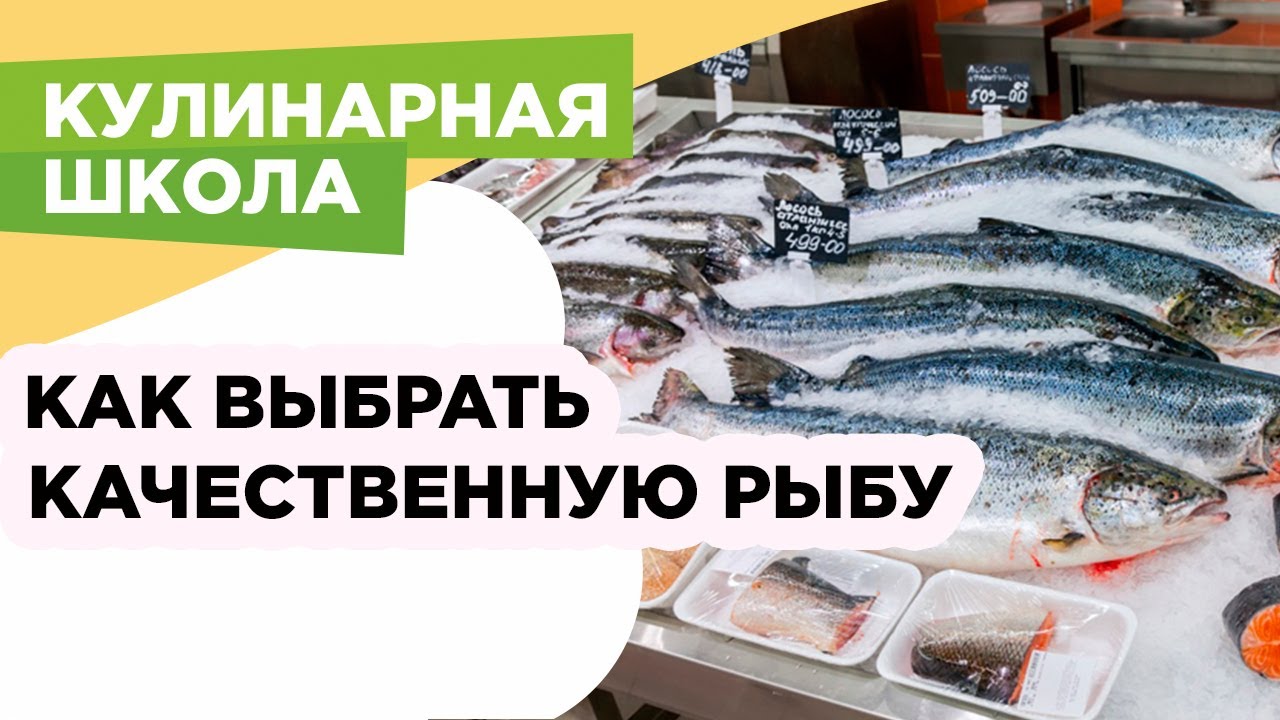 Как выбирать рыбу, почему замороженная рыба лучше охлажденной, зачем покупать целую рыбу, а не филе