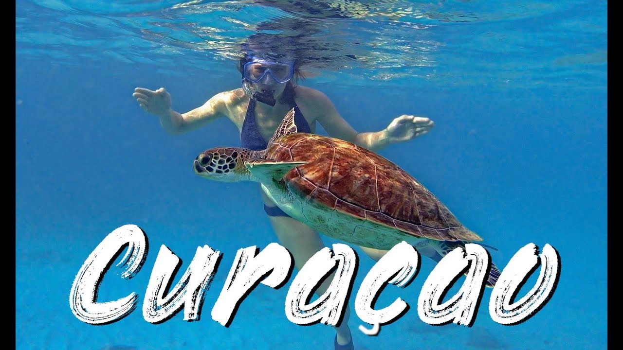 Curaçao - Snorkeling with Turtles