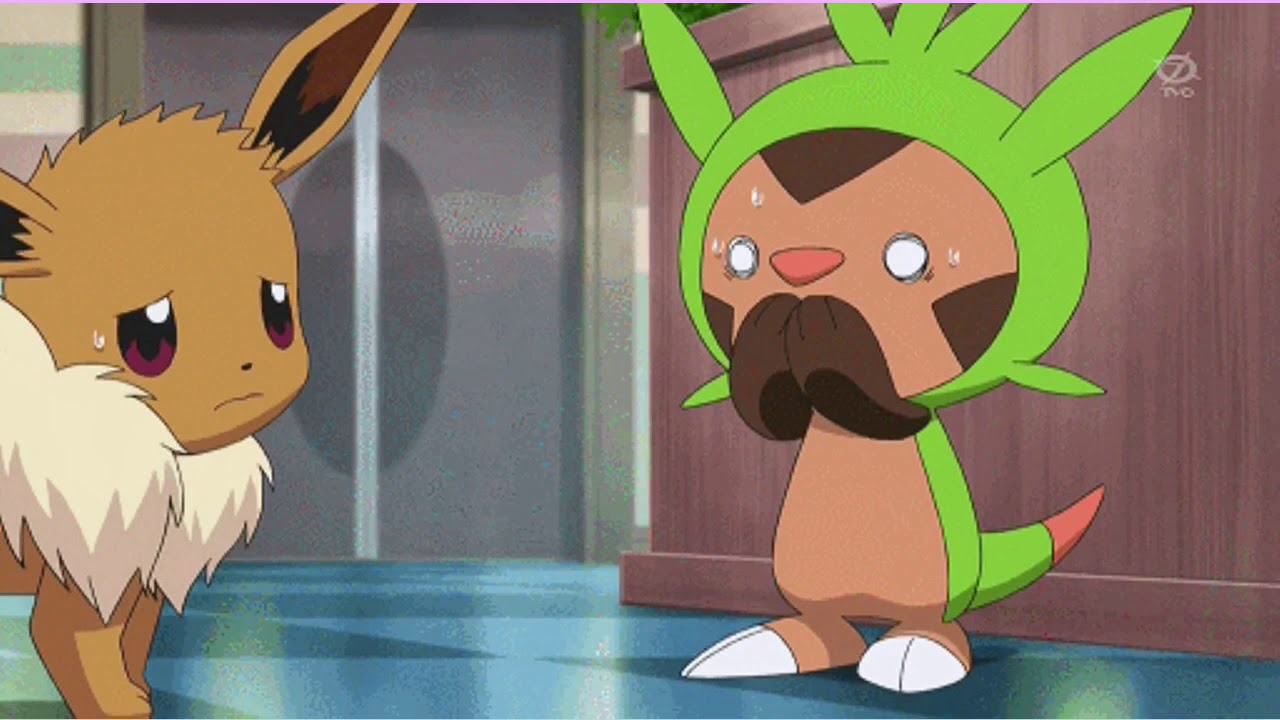 “Take a Hint” Sylveon,Eevee,Braxien AMV