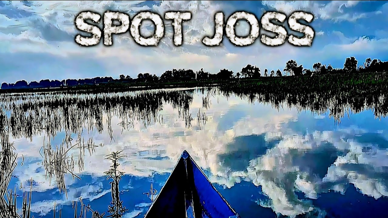Bejalen rawa pening // mancing rawa pening terbaru
