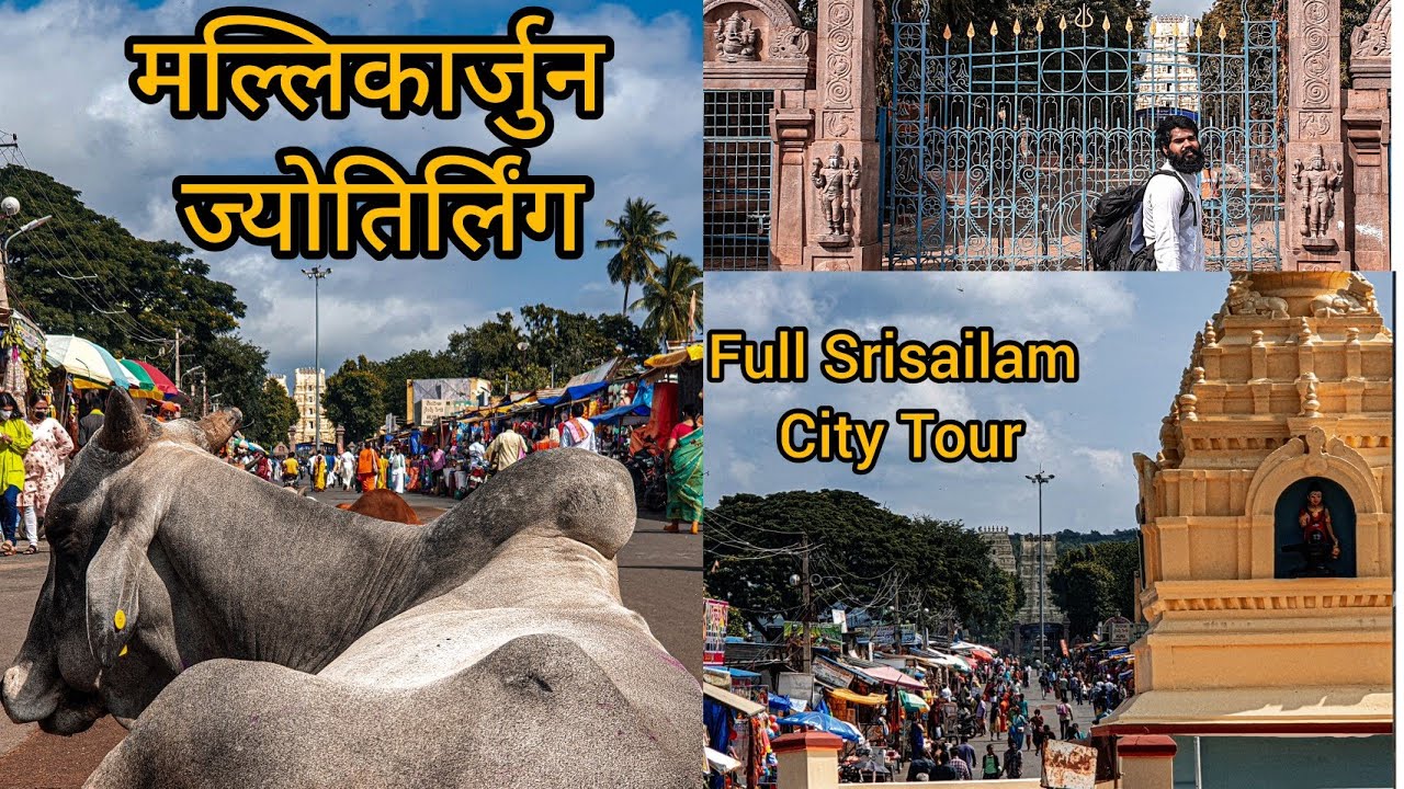 Mallikarjun Jyotirling || Srisailam - Full City Tour 🔱 11th Jyotirling Completed