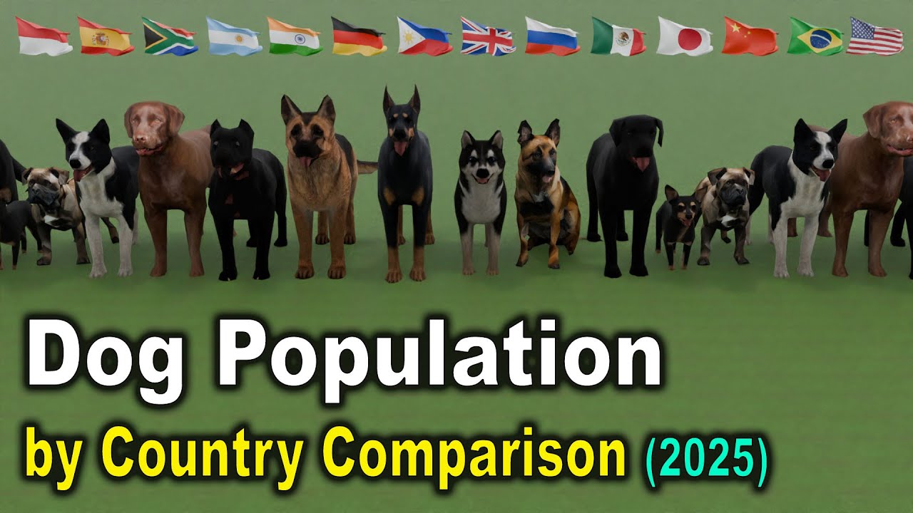 Dog Population by Country Comparison 2025 (Top 100)