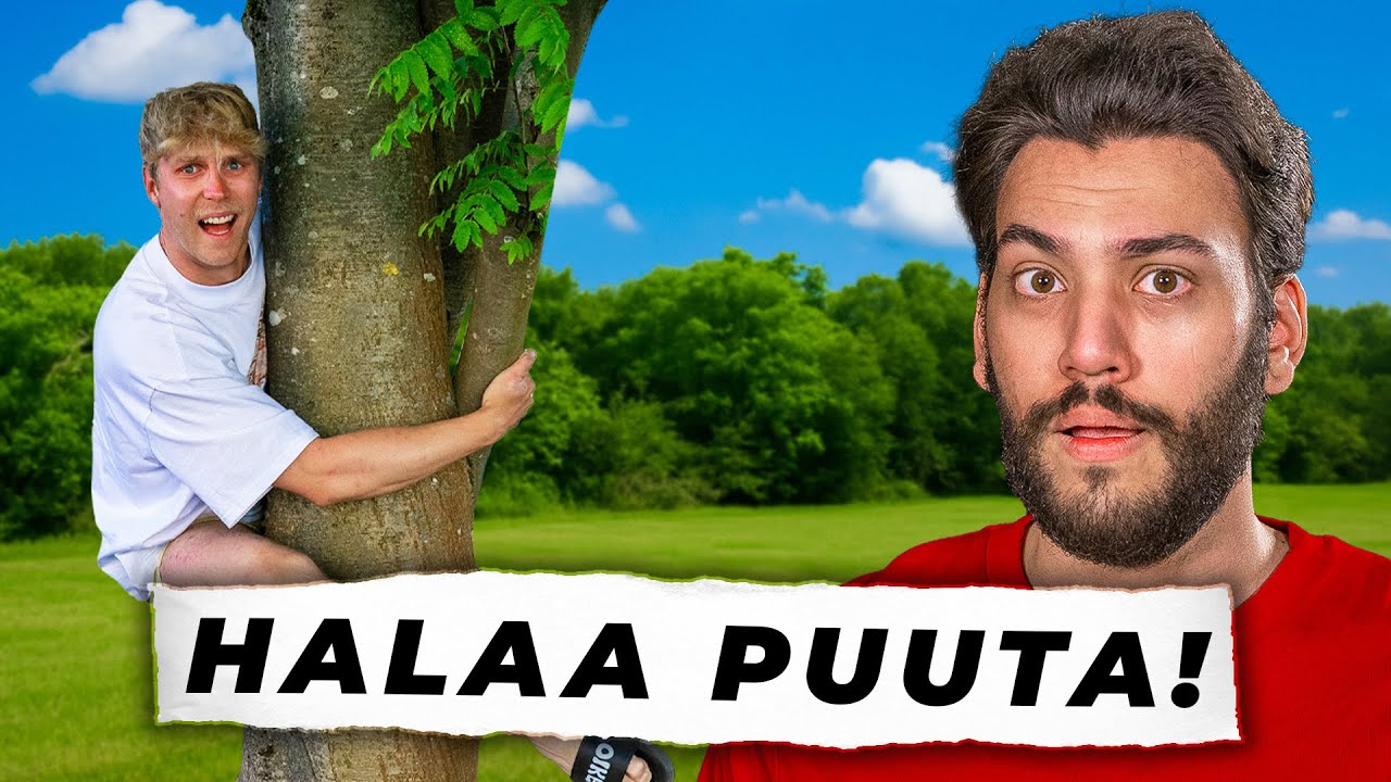 Kuka halaa puuta ensin voittaa! (MEME-OLYMPIALAISET)