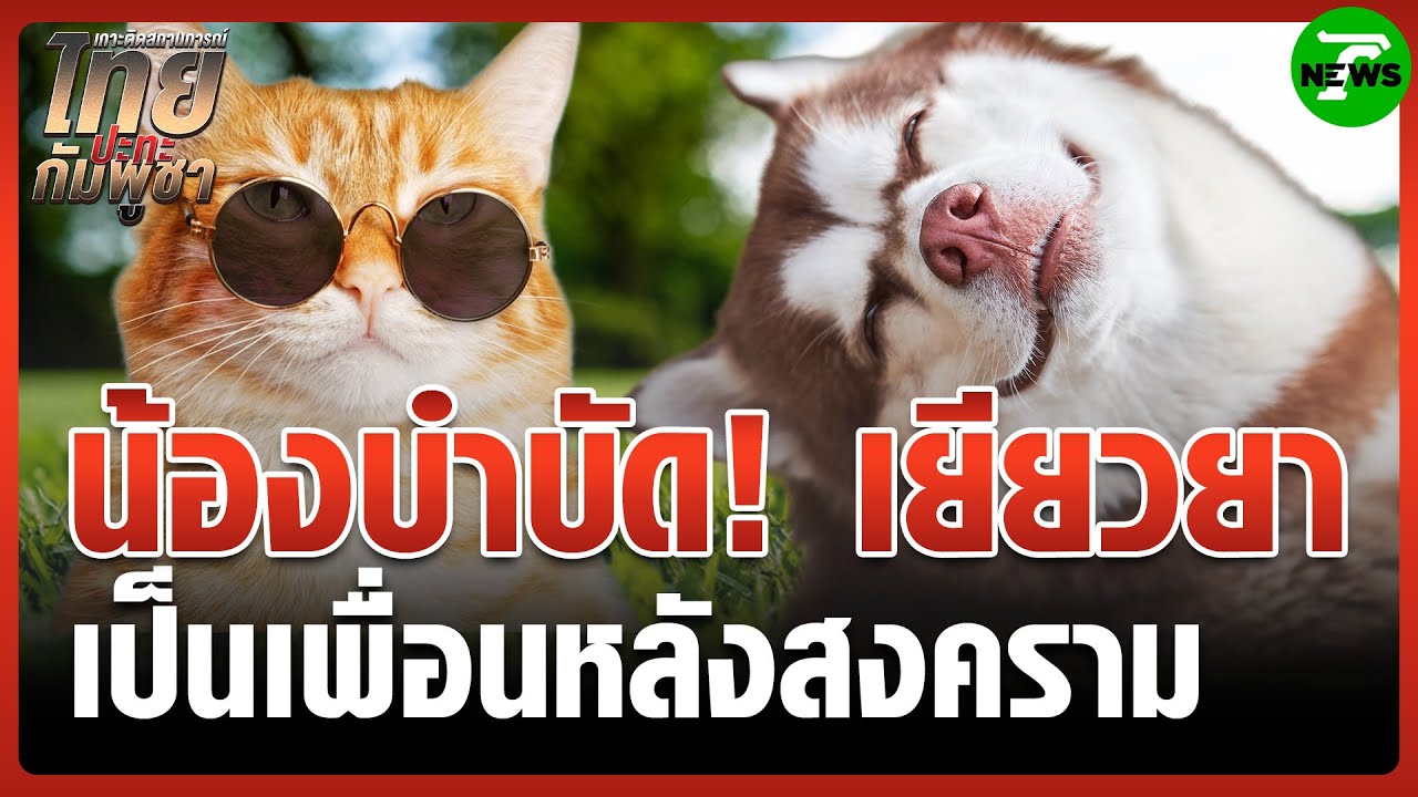 หมา-แมวบำบัด เพื่อนฮีลใจ! สนามรบชายแดน | 18 ส.ค. 68 | ข่าวเที่ยงไทยรัฐ