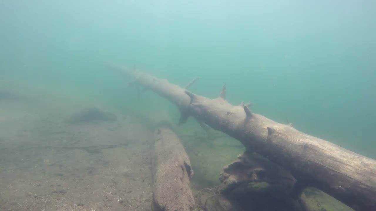 VEDENALAINEN MAAILMA, RUUTANA ELOKUUSSA 2022. KIRKAS VESI, OSA3  !!! UNDERWATER WORLD, RUUTANA