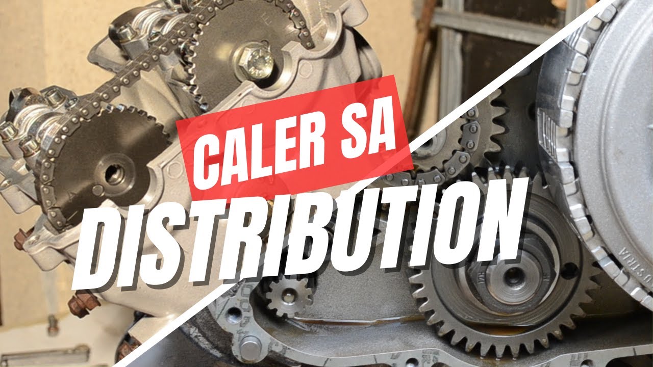 Calage de la Distribution - Aprilia 650 Pegaso