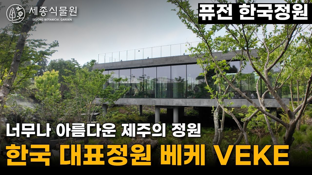 제주도의 보석같은 한국정원, 베케에서 감상하는 정원식물의 아름다움 #베케 #베케정원 #veke #제주도베케 #가드닝 #정원 #정원가꾸기 #정원가드닝 #정원꾸미기