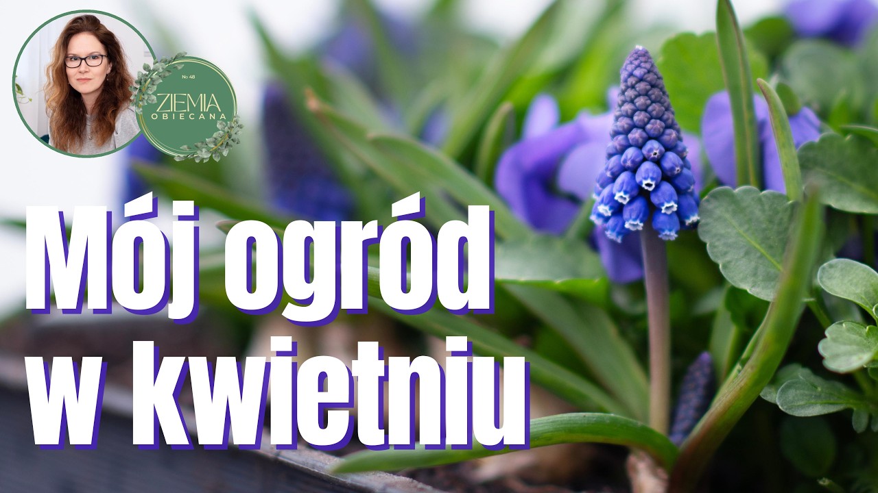 KWIECIEŃ - jak wygląda m&oacute;j ogr&oacute;d?