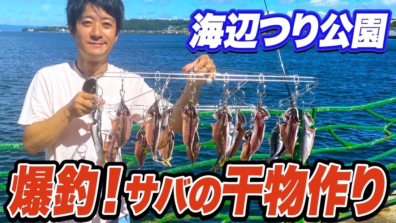 【横須賀海辺つり公園】うみかぜ公園も海辺つり公園もサバが入れ食いなのでその場で干物に！