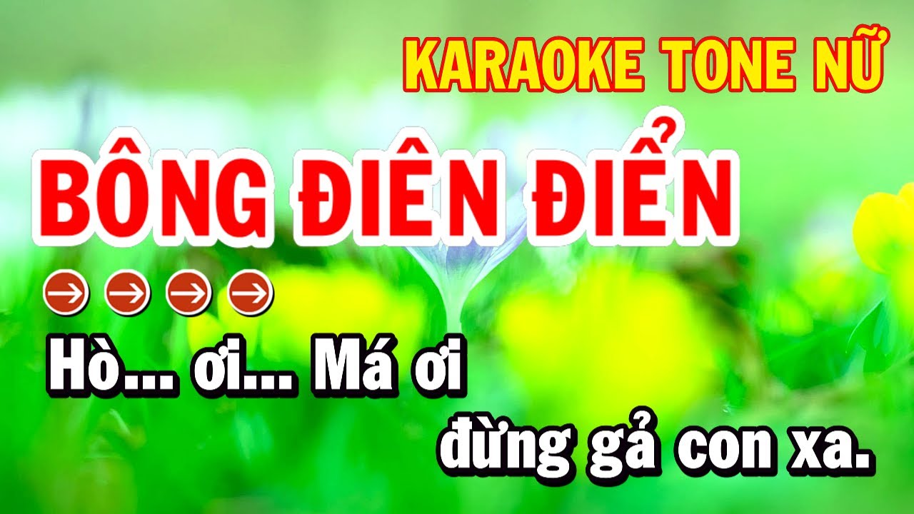 Bông Điên Điển Karaoke Tone Nữ Nhạc Sống Huỳnh Như