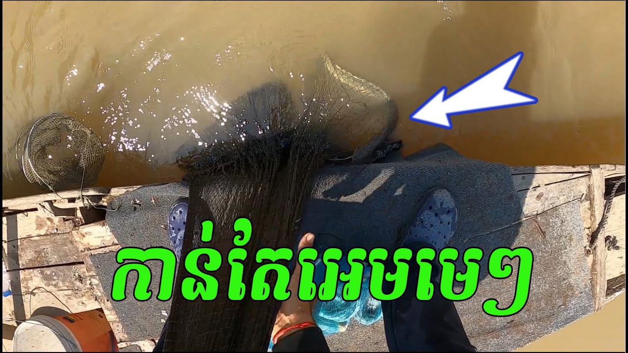 Wow កាន់តែអេម ពេញលេងហើយធីមយើង /​ Amazing Traditional Cast Net Fishing | #491
