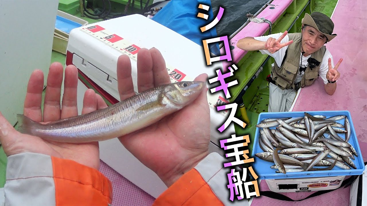 沖のシロギス釣りで疫病神の汚名返上!! 【全員大漁で釣船は宝船】