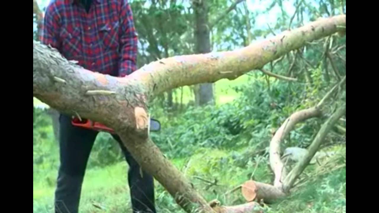 4 of 7: Limbing with your Jonsered Chain Saw