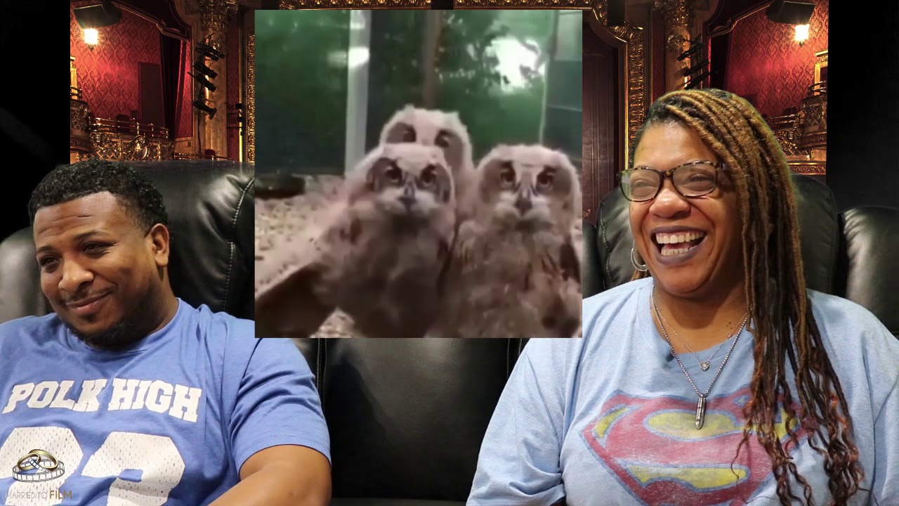 Try Not to Laugh Challenge (Tony Baker winged edition)