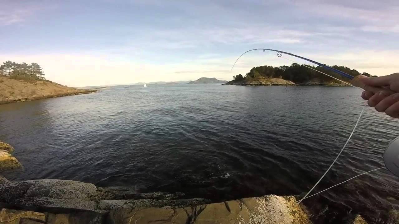Lyrfiske i sjøørretland