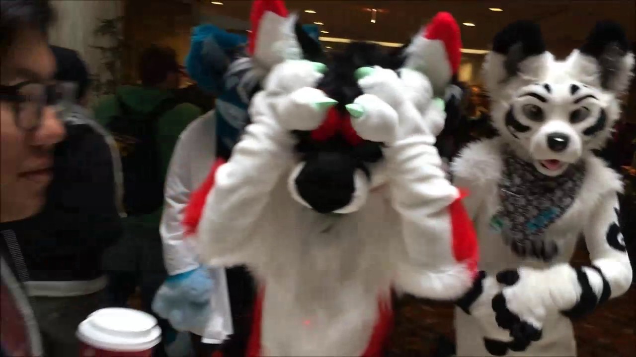 Midwest Furfest 2016 by AlphaWereFox
