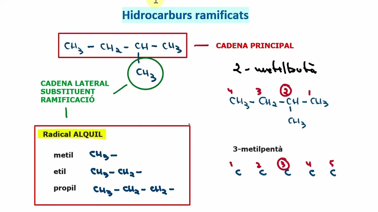 04 - Hidrocarburs ramificats - Repàs ràpid