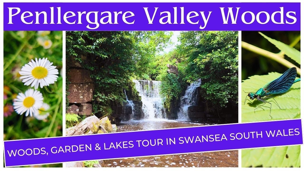 Penllergare Valley Woods Swansea South Wales Relaxing Walking Tour