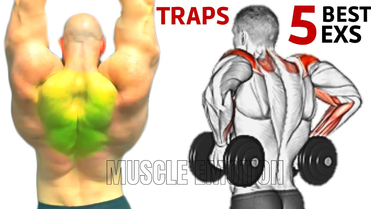 5  BEST TRAPS EXERCISES WITH DUMBBELLS ONLY AT HOME OR AT GYM