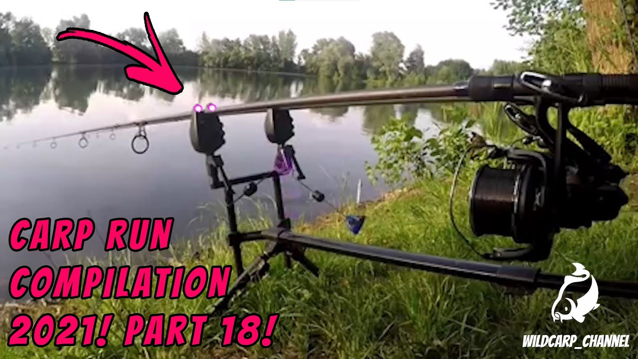CARP RUN COMPILATION 2021! PART 18!