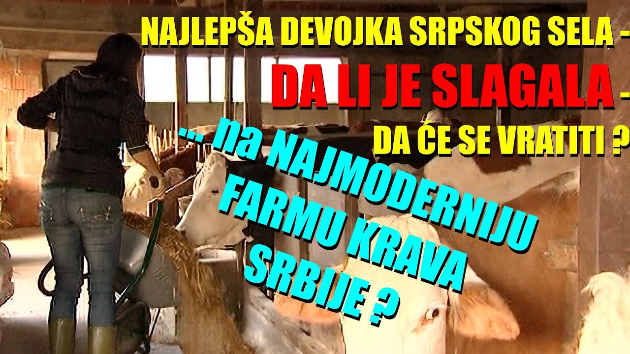 NAJLEPŠA SELJANKA OBEĆALA DA ĆE SE vratiti na MODERNU FARMU KRAVA -  da li je slagala ?? DANAS ...