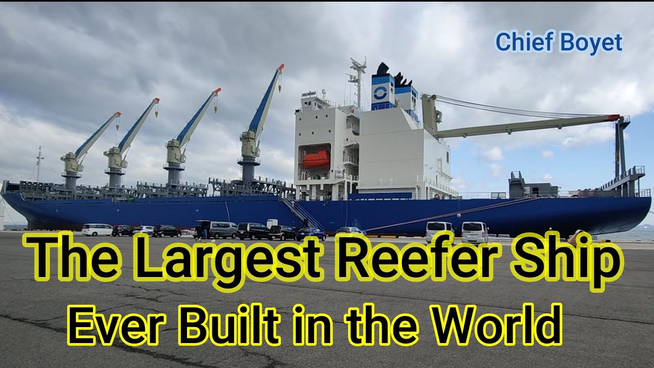 The Largest Reefer Ship Ever Built in the World | Chief Boyet