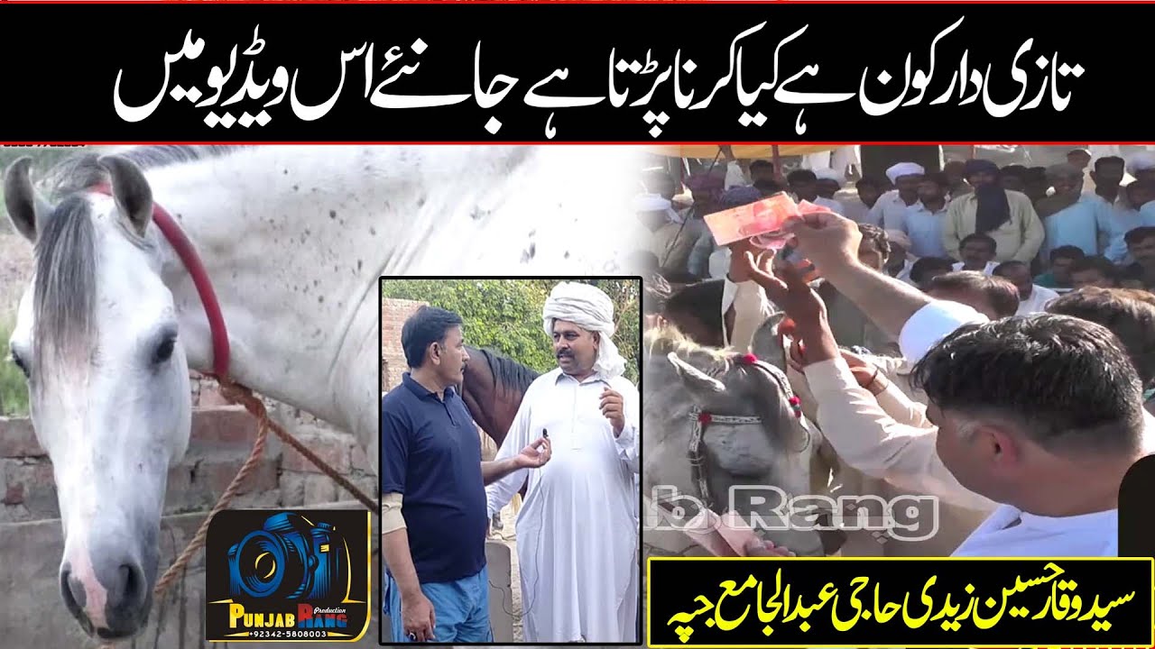 Tazidar ll Horse Dance ll تازی دار کو ن ہے  ll Horses ll Horse Form ll Horse Owner ll 2021